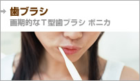 ���֥饷